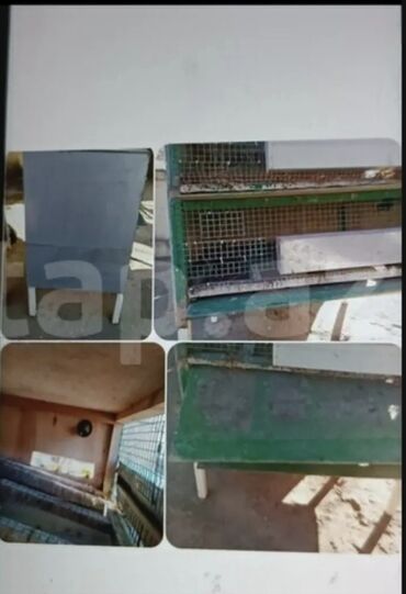 Bio-tualetlər və doldurucular: Qəfəs satılır qiyməti 50 manata real alıcılar endirim olacaq barter