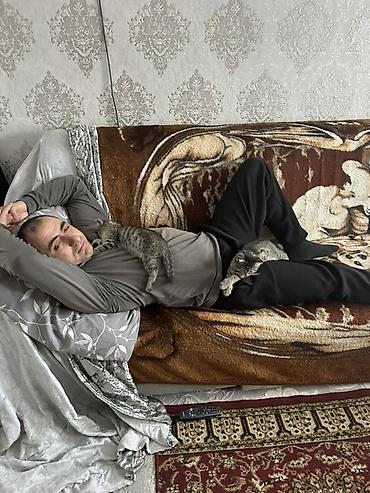 BMW: BMW 5 series: 1994 г., 2.5 л, Механика, Бензин, Седан — 22