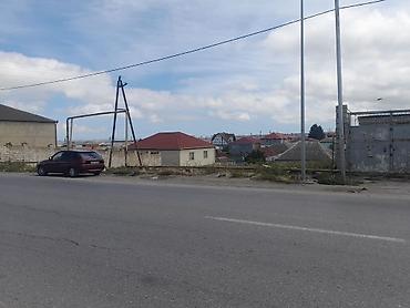 Daşınmaz əmlak: 2 sot, Biznes üçün, Maklerlər narahat etməsin, Bələdiyyə — 1