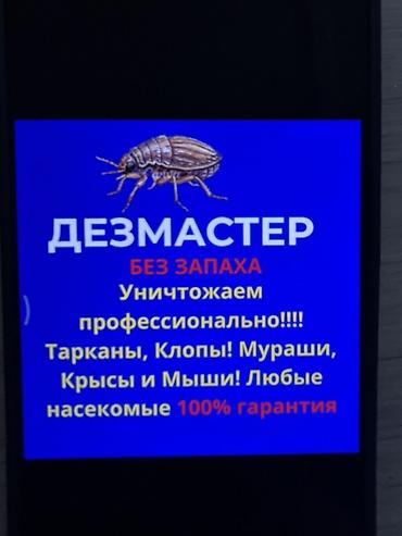 борьба: Дезинфекция, дезинсекция, | Блохи, Вирусы, микробы, Клопы, | Подвал, погреб, Квартиры, Подъезды — 2