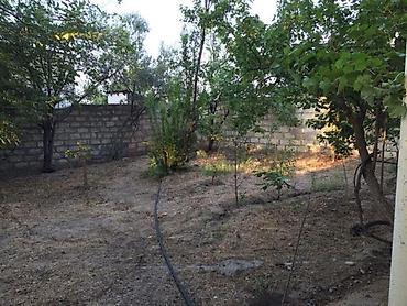 meyvə bağı: Bakı, Novxanı, 170 kv. m, 6 otaqlı, Hovuzsuz, Qaz — 7