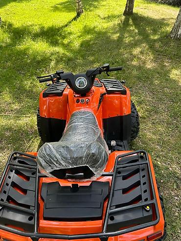 Квадроциклы: Квадроцикл Бензин, 420 куб. см, Взрослый — 14