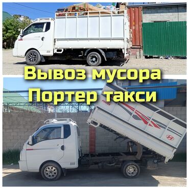 Другие животные: Вывоз мусора вывоз мусора вывоз мусора Вывоз мусора вывоз мусора