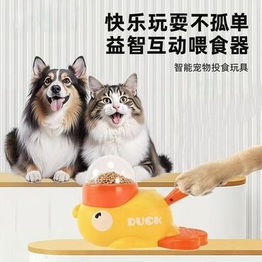 Товары и оборудование для с/х животных: Набор для кота/маленькой собаки, Новый! Весь набор - 2500 с. В — 9