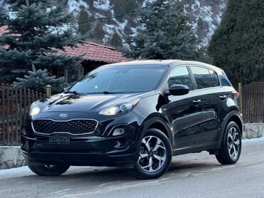 жпс на авто: Kia Sportage: 2019 г., 2.4 л, Автомат, Бензин, Внедорожник