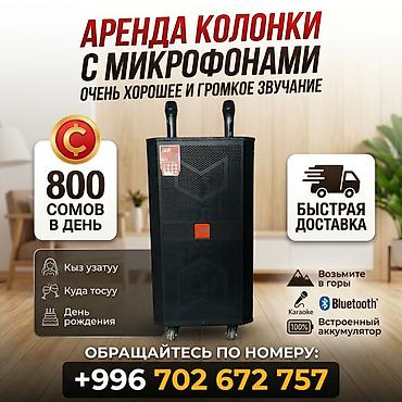 эндоскопия авто: Аренда портативной акустической системы с микрофонами - Очень хорошее — 1