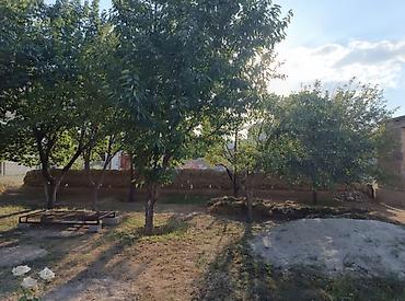 3 соток, Курулуш, Кызыл китеп lalafo.kg да 3 соток, Курулуш, Кызыл китеп