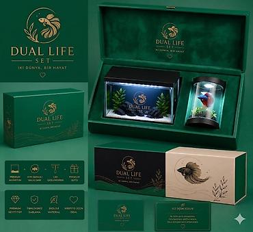 akvarium daş: Dual Life Set – “İki dünya, bir həyat” Məhsul təsviri: - Premium — 1