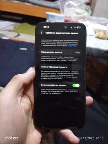 Apple iPhone: IPhone 14 Pro Max, 256 ГБ, Черный, 79 % — 5