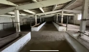 Сельхоз предприятия: 40 соток, Действующий, С оборудованием — 10