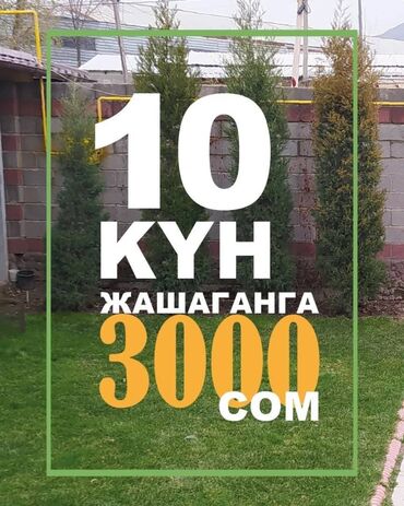 ищу работу отель: 24 м², С мебелью