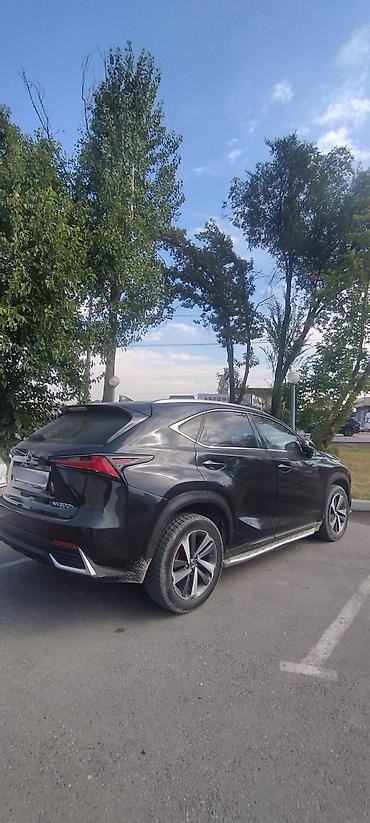 Lexus: Lexus NX: 2018 г., 2.5 л, Вариатор, Гибрид, Кроссовер — 4