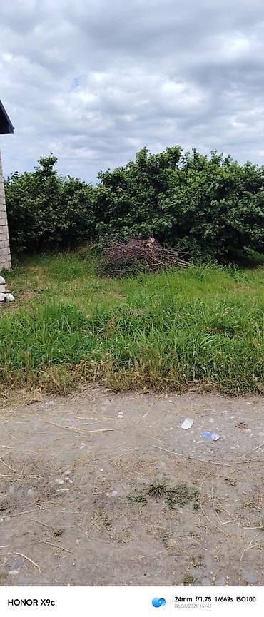 abşeron gencler: 41 sot, Kənd təsərrüfatı, Mülkiyyətçi, Kupça (Çıxarış) — 1