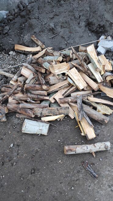 купить дрова бишкек: Дрова Карагач, Платная доставка