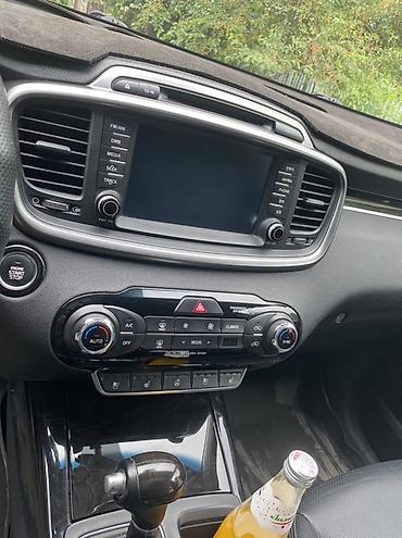 Kia: Kia Sorento: 2016 г., 2 л, Автомат, Дизель, Кроссовер — 10