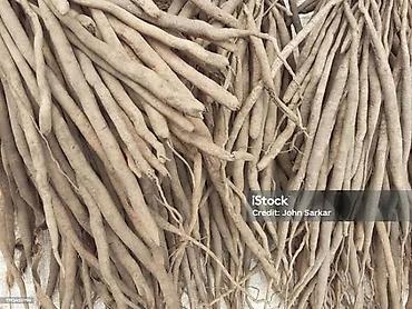 Другие садовые цветы и кустарники: Пионы клубнями / корнями Пионы делёнками Пионы травянистые. Пионы — 31