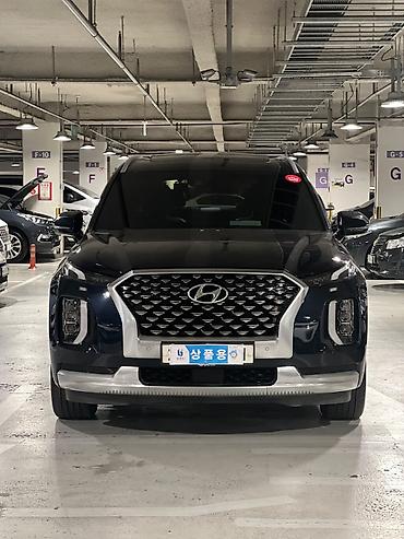 palisade: Hyundai Palisade: 2020 г., Кроссовер — 3