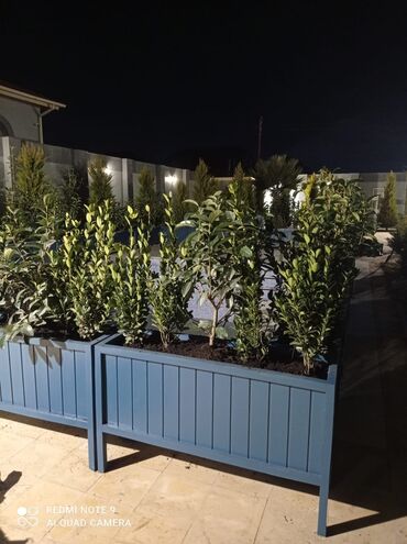 Bitkilər üçün dibçəklər: Dibçək güldanlar. Dipçəklər bir başa sexdən.Sex qiymətinə. ♦️Endrim — 3