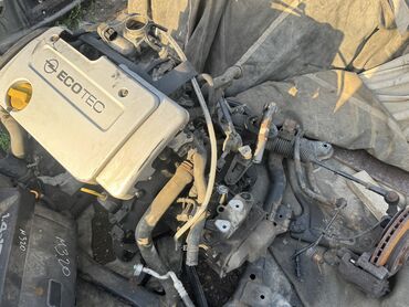 Двигатели, моторы и ГБЦ: Бензиновый мотор Opel 2003 г., 1.6 л, Б/у, Оригинал, Германия — 2