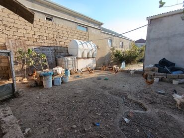 Həyət evləri və villaların satışı: Binə 4 otaqlı, 150 kv. m, Kredit yoxdur, Yeni təmirli -da lalafo.az — 8 Həyət evləri və villaların satışı: Binə 4 otaqlı, 150 kv. m, Kredit yoxdur, Yeni təmirli — 8