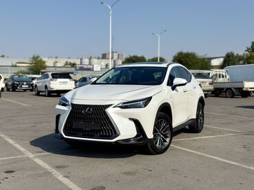 аренда лексус lx 570 без водителя: Белый кроссовер Lexus NX с характерной решеткой радиатора Lexus NX