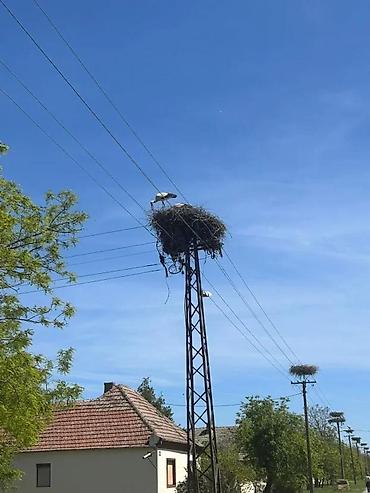 8BB TARAŠ, ZRENJANIN | Istaknute informacije Površina 90 m Broj