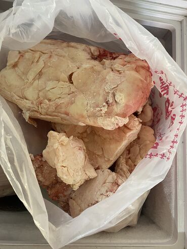 рыба скумбрия: Продаю говяжий почечный мясной жир 80 сом