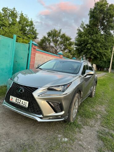Lexus: Lexus NX: 2017 г., 2 л, Автомат, Бензин, Внедорожник