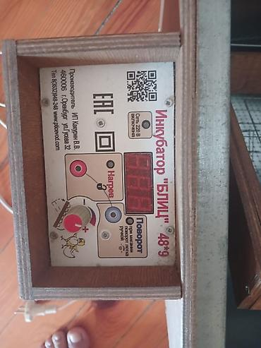 inkubator kreditle: 50 yumurta, Rusiya, Tam avtomat — 2