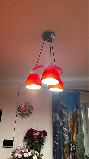 Унитазы: Переноска/контейнер для животных + унитаз-компакт 1) Переноска для — 19