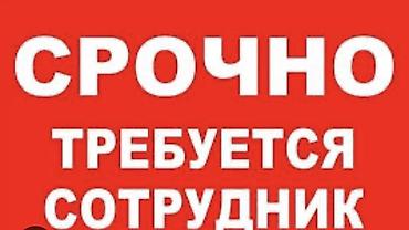 IT, компьютерлер, байланыш: Срочно требуется сотрудник. Описание вакансии:девушка, мужчина — 1