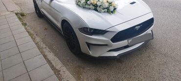 запчасти на гидронасосы: Ford Mustang 2018 ön buferi; zbor şəkildə satılır. Sadəcə lipi yoxdur