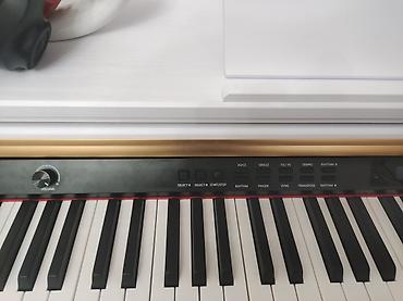 org pa 80: Aria AR-8817 rəqəmsal piano – ağ korpuslu, 88 klavişli model — 1