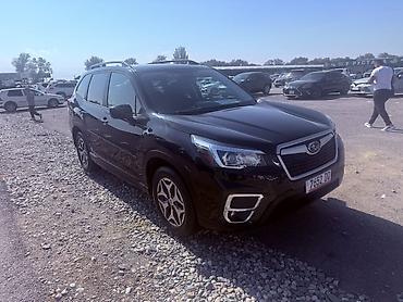 Subaru: Subaru Forester: 2020 г., 2.5 л, Вариатор, Бензин, Кроссовер — 1