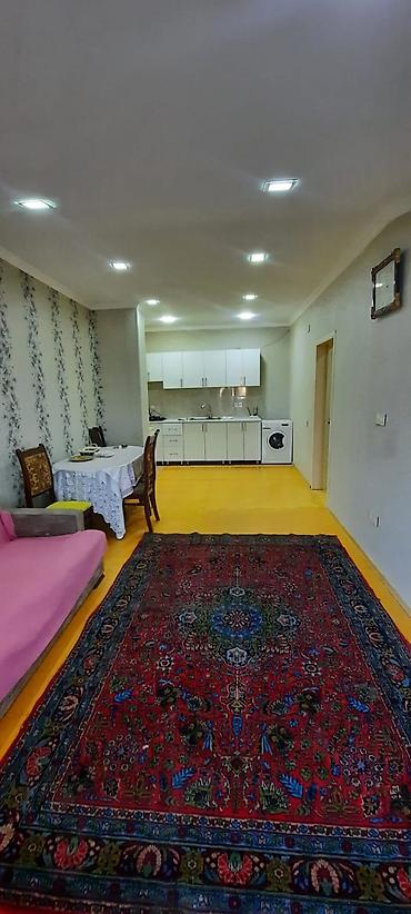 evlər studiya: 2 otaqlı təmirli ve Əşyalı ev kirayə verilir.Evde yaşamaq üçün hər — 2
