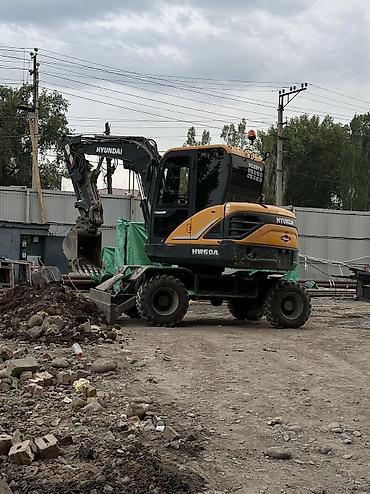 Услуги экскаватора | Выкорчевывание пней, Траншеи, Котлованы at lalafo.kg Услуги экскаватора | Выкорчевывание пней, Траншеи, Котлованы