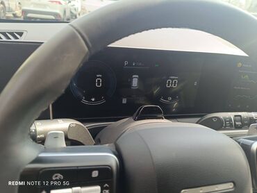 Hyundai: Hyundai Santa Fe: 1.6 l | 2024 il Ofrouder/SUV — 5