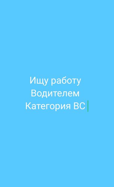 электрик микрорайон: Услуга: Водитель категории B, C Описание: - Предлагаю услуги