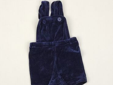 Dungarees: Dungarees, 9-12 months, condition - Ideal