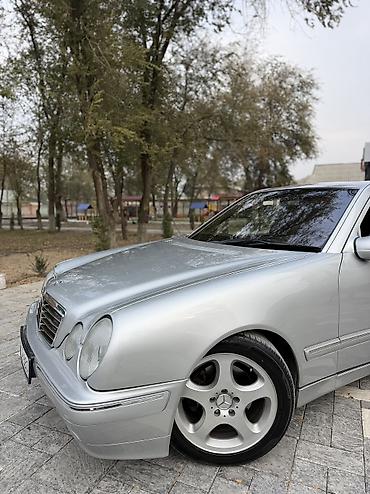 продаю мерс w210: Mercedes-Benz E-Class: 2001 г., 4.3 л, Автомат, Бензин, Седан — 8