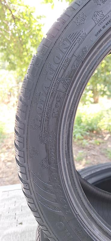 Шины: Шины 245 / 45 / R 17, Лето, Б/у, Пара, Легковые, Германия, Pirelli — 9