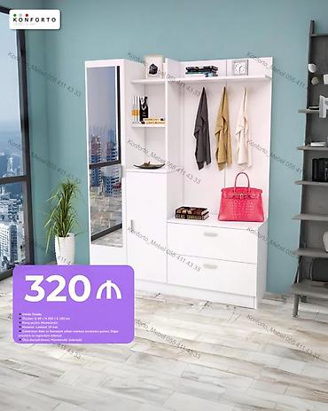 Dəhliz üçün çoxfunksional dolab sistemi - Daxili şkaf, asılqan