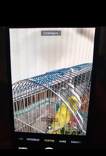 Apple iPhone: IPhone X -da lalafo.az — 11 Apple iPhone: IPhone X — 11