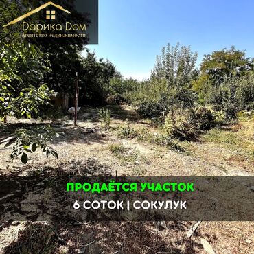 продается кошара: 6 соток