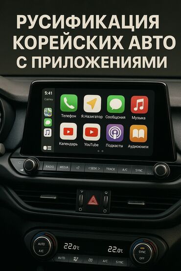 Другие аксессуары по уходу за авто: Руссифакция корейских авто