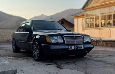 Mercedes-Benz: Mercedes-Benz W124: 1995 г., 2.2 л, Механика, Бензин, Седан