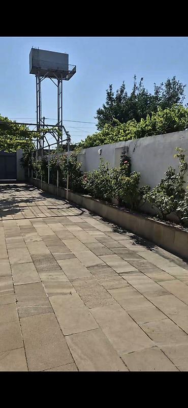 nzs qesebesinde 3 otaqli ev type 1: Bağ evi və geniş həyətyanı sahə - Yaşıl, meyvə ağacları ilə zəngin — 3