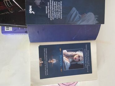 Bu fantaziya romanı imperatriça Asena və İmperator Drystan tərəfindən
