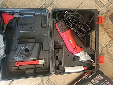где купить хорька: Электрическая машинка для стрижки овец RODEX RDX923 в кейсе. покупал — 1