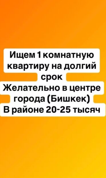 ареда квартира: Ищем 1 комнатную квартиру на долгий срок Желательно в центре города